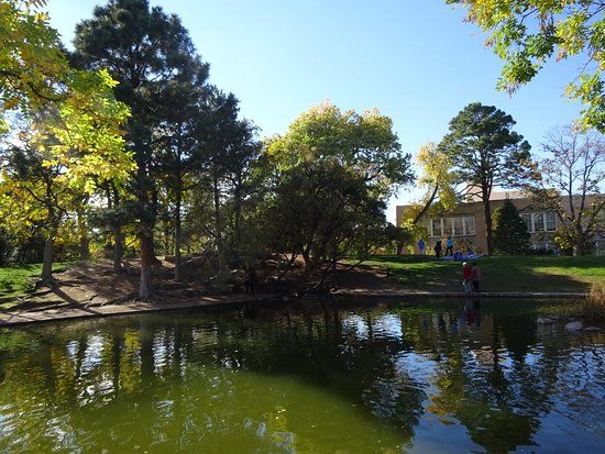 Duck Pond at UNM